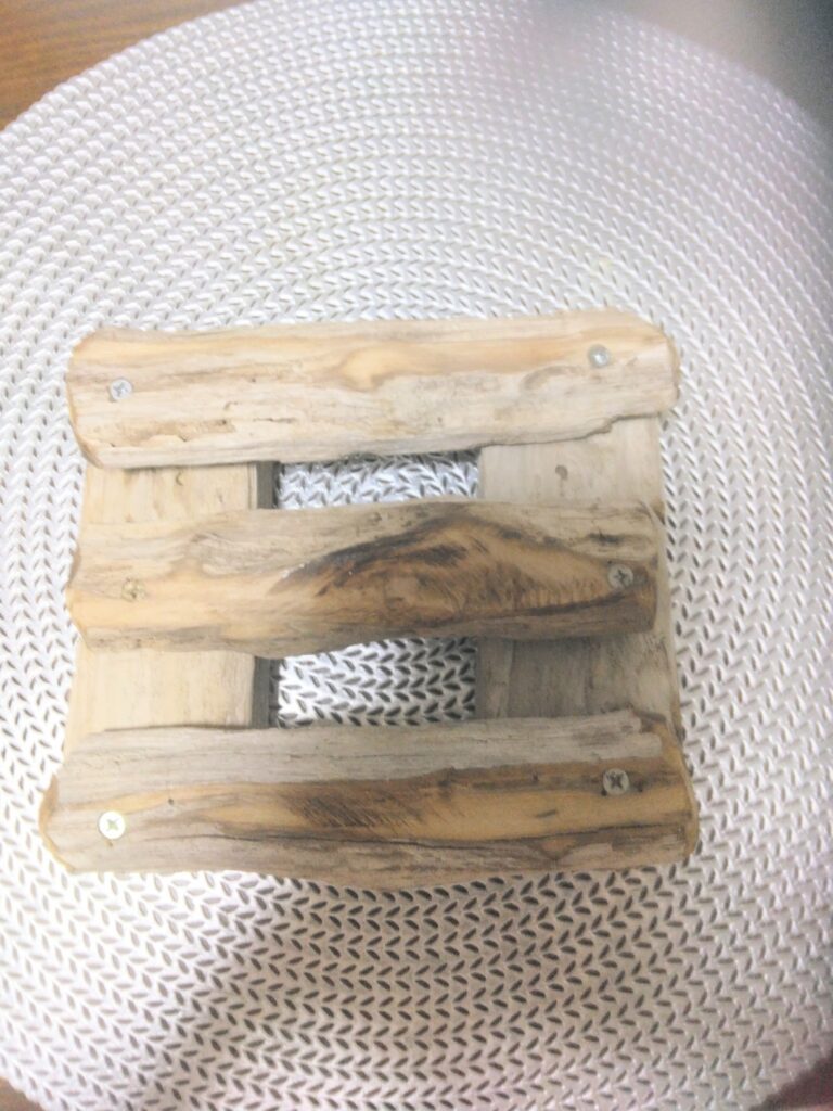 IMG_20260223_073504~2 (1)