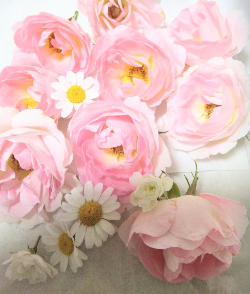 花々